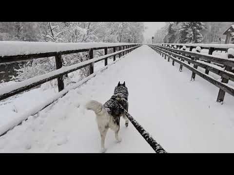 Walking in a winter wonderland! Val Gardena❄️