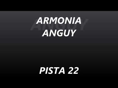 ARMONIA ANGUY - PISTA 22 - POCOS MINUTOS