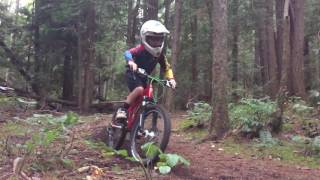 Lincoln Laird Life 2016