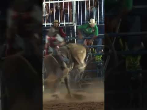 Luiz Fabiano foi em gaúcha do norte MT #rodeio #pecuarista #agro #DaniloAmaro