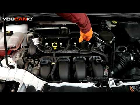 2012-2019 Ford Focus – How to Check and Add Engine Oil