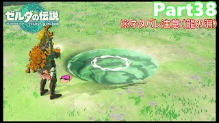 【38】ぼっち勇者の天空探検【ゼルダの伝説ティアーズオブザキングダム】