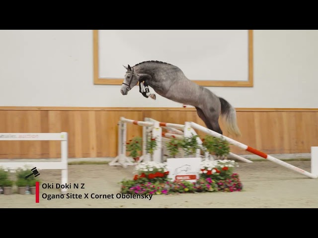 Oki Doki (Ogano Sitte x Cornet Obolensky)