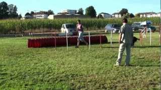 16/09/12 - Bruyère - Cécilia et D'ginger - jumping +.MTS