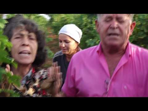 Mannaggia lu Vinu - successo di Carmelo Massaro e Dalmazia Primiceri successo alla Corrida 2009