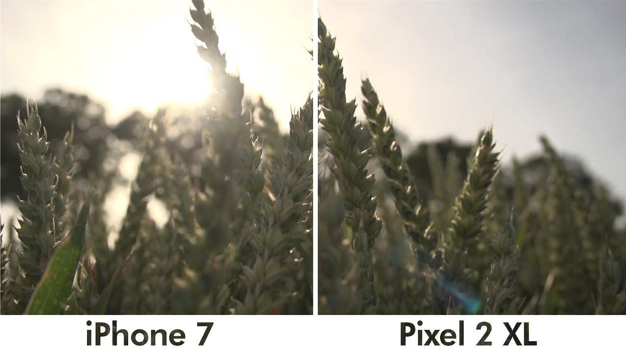 Pixel 2 XL vs iPhone 7 Camera Test 2020!