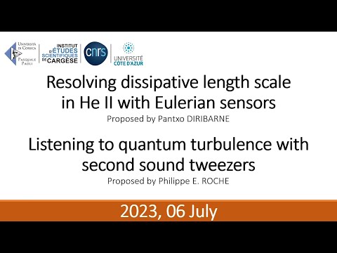 Resolving dissipative length scale in He II with Eulerian sensors | Pantxo Diribarne
