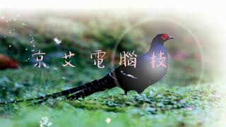 Craigie Hill克雷吉山丘Cara Dillon卡拉迪蓉