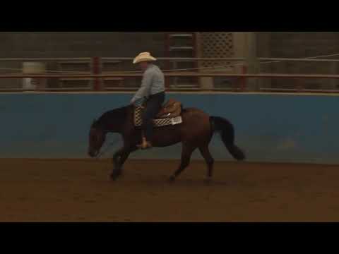 170714 Terry Satchell on Gotta Get Er Done NP