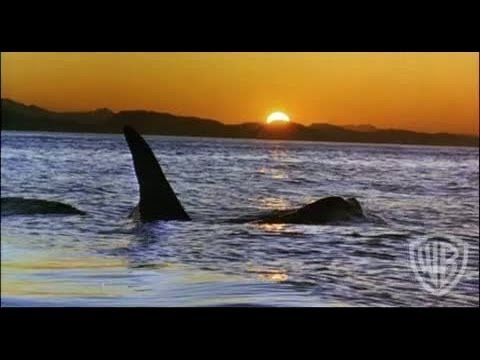 Free Willy - Trailer #5