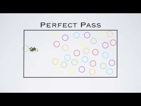 Perfect Pass - Throwing and Catching Game