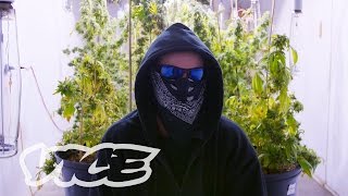 Inside Canada's New Corporate Weed System: Canadian Cannabis (Episode 1)