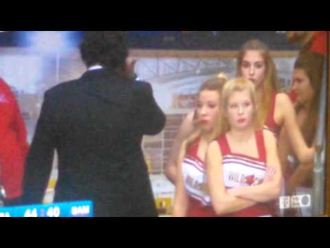 Die Frankfurter Skyliners