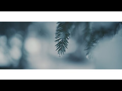MAAKUU - Kõik (Official Video)
