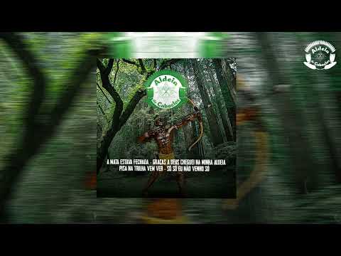 A Mata Estava Fechada - Aldeia de Caboclos prod. Dany Bala (Áudio Oficial)