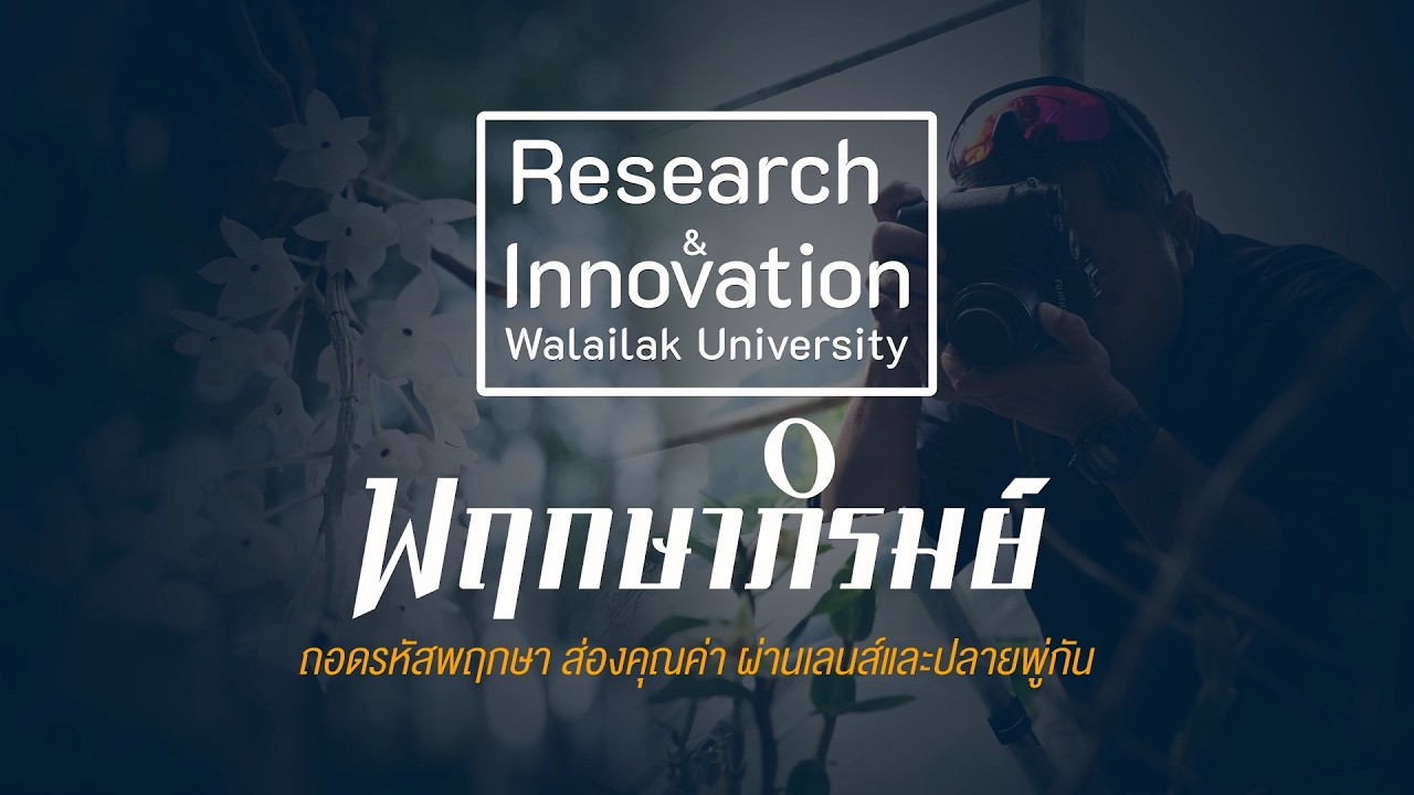 พฤกษาภิรมย์ : ถอดรหัสพฤกษา ส่องคุณค่าผ่านเลนส์และปลายพู่กัน