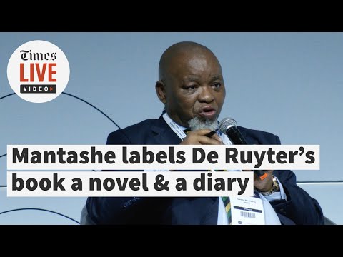 Energy minister Gwede Mantashe labels De Ruyter's book a novel and a 'diary of meetings'