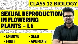 Class 12 Biology | Sexual Reproduction in Flowering Plants | Embryo | Seed | Fruit | Apomixis