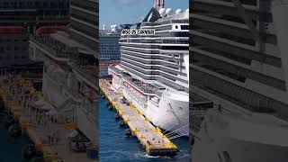 Bottom line, it's what I like!.. #cruiseship #travel #vacation #shorts #yt #ytshorts #viral