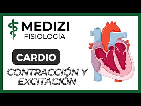 Clase 16 Fisiología Cardíaca 1 - Contracción-excitación y Potencial de acción (IG:@doctor.paiva)