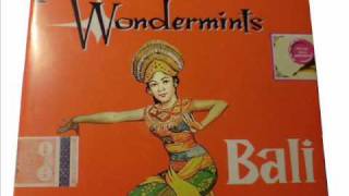 Wondermints - Arnaldo Said