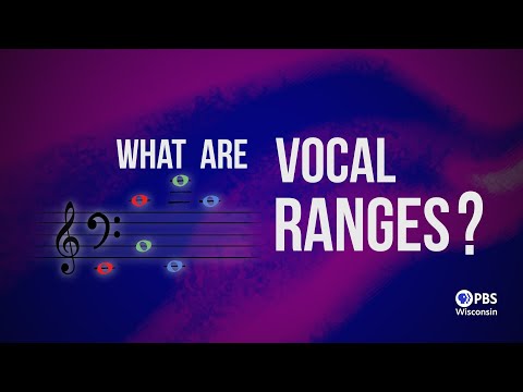 What Are Vocal Ranges? | Acapocalypse! A Cappella's New Note