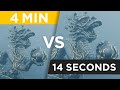 Redshift Rendering Tips - Cinema 4D Tutorial (Free Project)