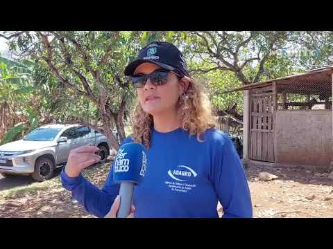 Adagro em Fernando de Noronha:Descubra o que fomos fazer no arquipélago 🌊📝