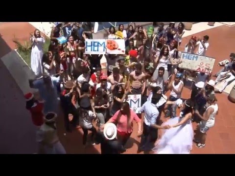 LIPDUB HEM CASABLANCA