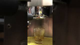 Re: [義式] Silvia萃取影片/照片分享