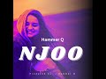 Hammer Q Njoo Acoustic