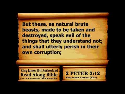 Bible Book 61. 2 Peter Complete King James 1611 Authorized Read Along Holy Bible - Diverse Readers