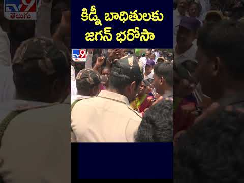 కిడ్నీ బాధితులకు జగన్‌ భరోసా - TV9 Teluguvoice