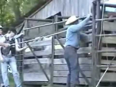 Brent Vincent's Bucking Bulls