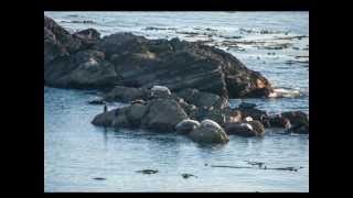 preview picture of video 'San Juan Islands: Lopez Island, October 2012'