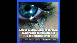 marisela loca / golo