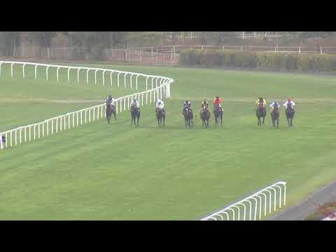 2. dostih - CENA SŠDSaJ - Videa z Ceny prezidenta republiky 2018 v Chuchli