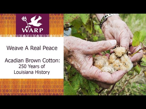 Acadian Brown Cotton, 250 Years of Louisiana History