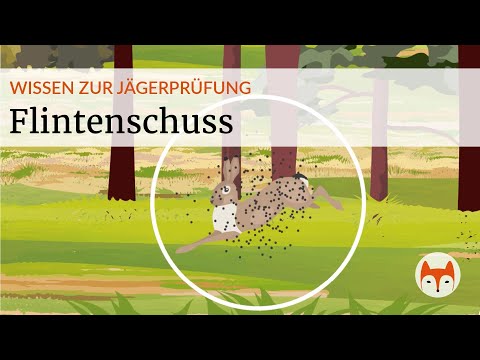 Shotgun Shooting in Hunting Practice: The Safe Shotgun Shot | Learn to Pass the Hunter's Exam - P...