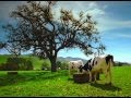 California Cheese Quake
