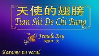 Download lagu 天使的翅膀 【卡拉OK (女)】《KTV KARAOKE》 - Tian Shi De Chi Bang (Female) mp3