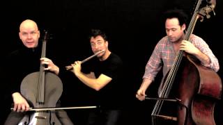 "Pinky and the Brain" - The PROJECT Trio: Greg Pattillo, Eric Stephenson, Peter Seymour