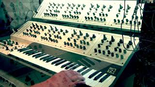 Video thumbnail for Oberheim EVS (Eight Voice) by MrFirechild