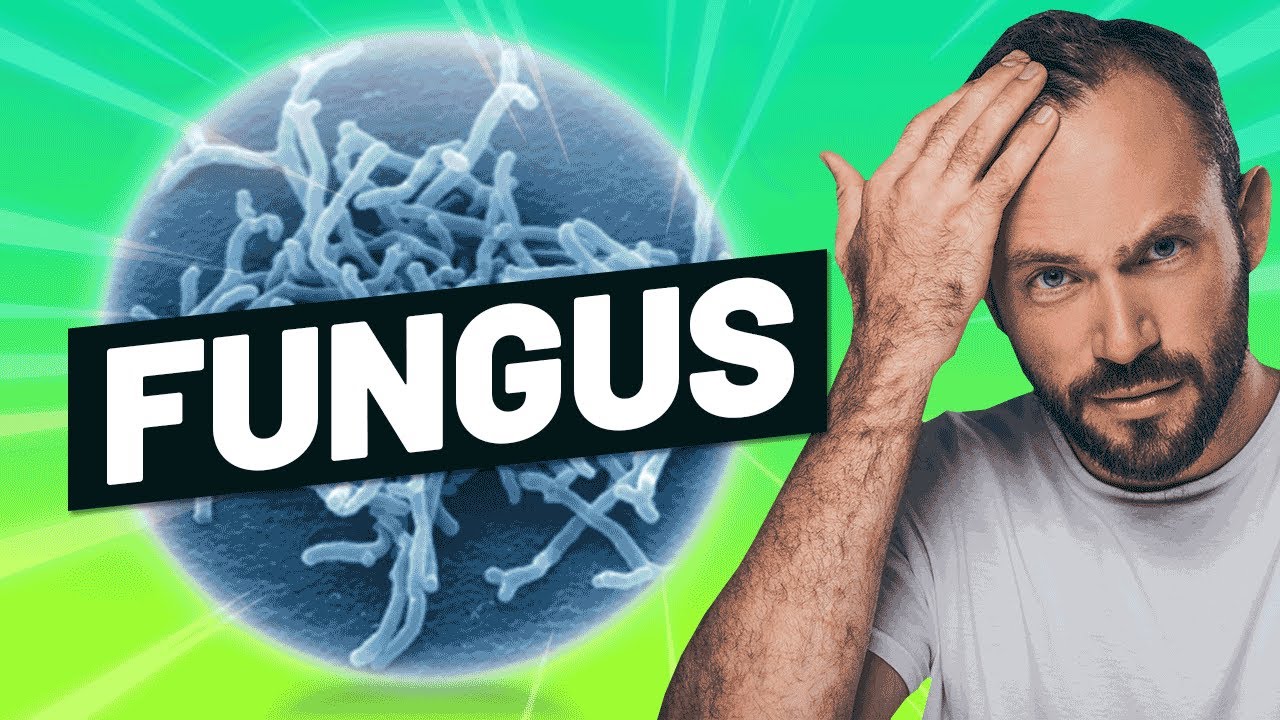 Fungal Infection For Hair - How To Treat Infections!