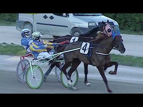 Aversa trotto 15 Febbraio 2020 - 3° Corsa