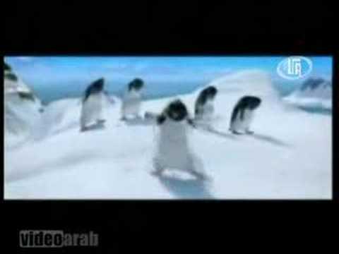 dabkeh penguins
