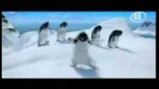 dabkeh penguins