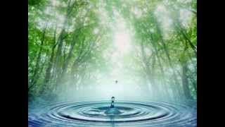 A reencarnação - Livro dos Espiritos