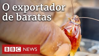 Miniatura do vídeo
