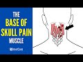 The Base of the Skull Pain Muscle (How to Release It for INSTANT RELIEF)